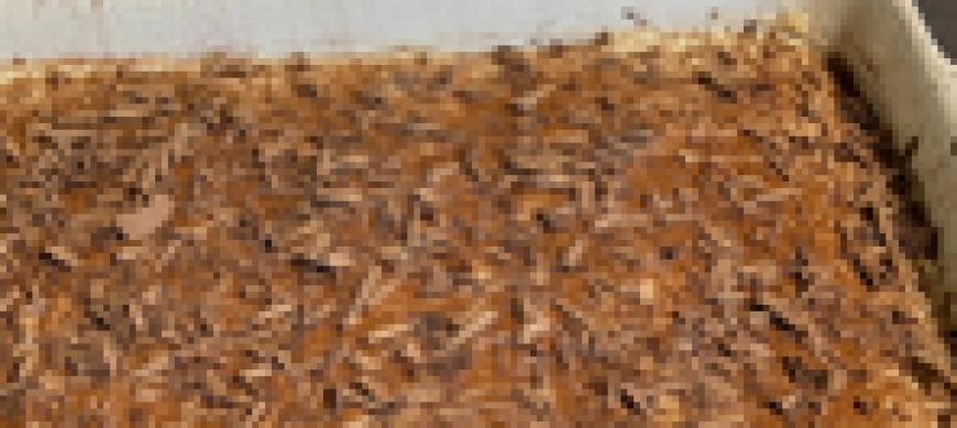 TIRAMISU DE CHOCOLATE